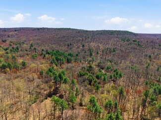 More details for 0 Dry Hill Road, Montague, MA - Land for Sale