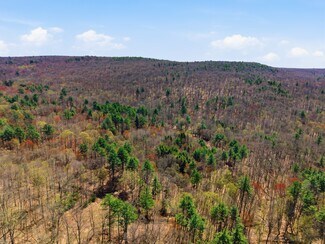 Plus de détails pour 0 Dry Hill Road, Montague, MA - Terrain à vendre
