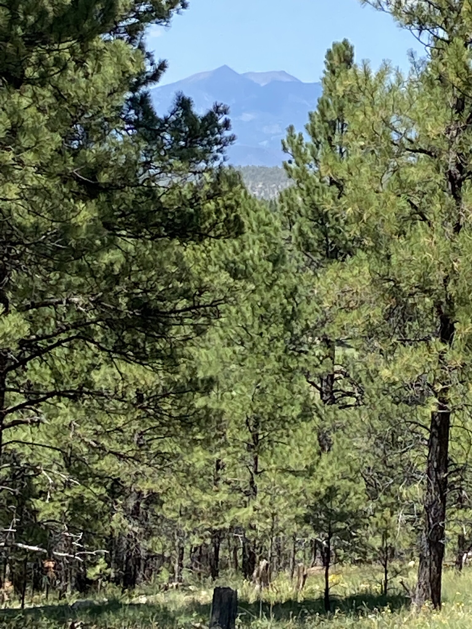 Crimson Rd, Flagstaff, AZ for sale Other- Image 1 of 1