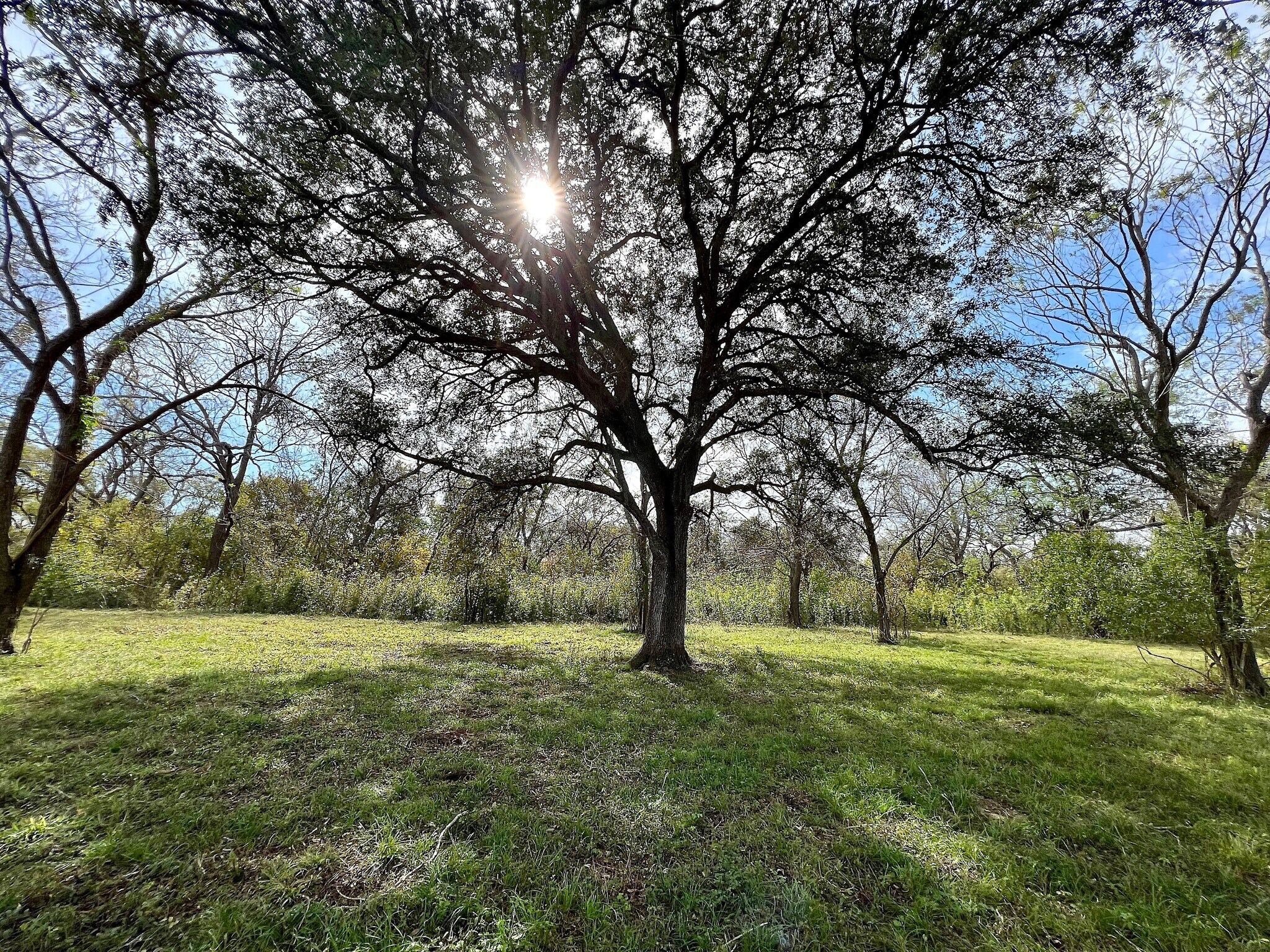 0 Hwy 35, Van Vleck, TX for sale Primary Photo- Image 1 of 35