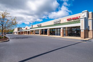Plus de détails pour 109 Lew Dewitt Blvd, Waynesboro, VA - Commerce de détail à louer