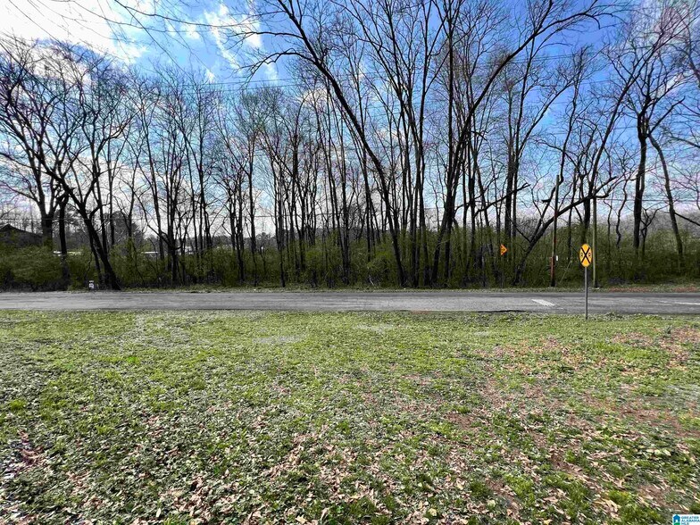 0 Robinson St., Springville, AL à vendre - Photo du bâtiment - Image 1 de 4