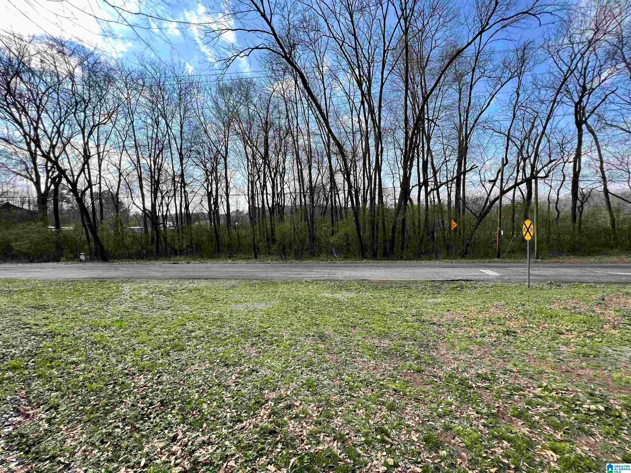 0 Robinson St., Springville, AL à vendre Photo du bâtiment- Image 1 de 5