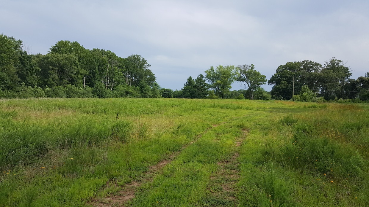 7800 Willow Pond Ct, Manassas, VA for sale Primary Photo- Image 1 of 5