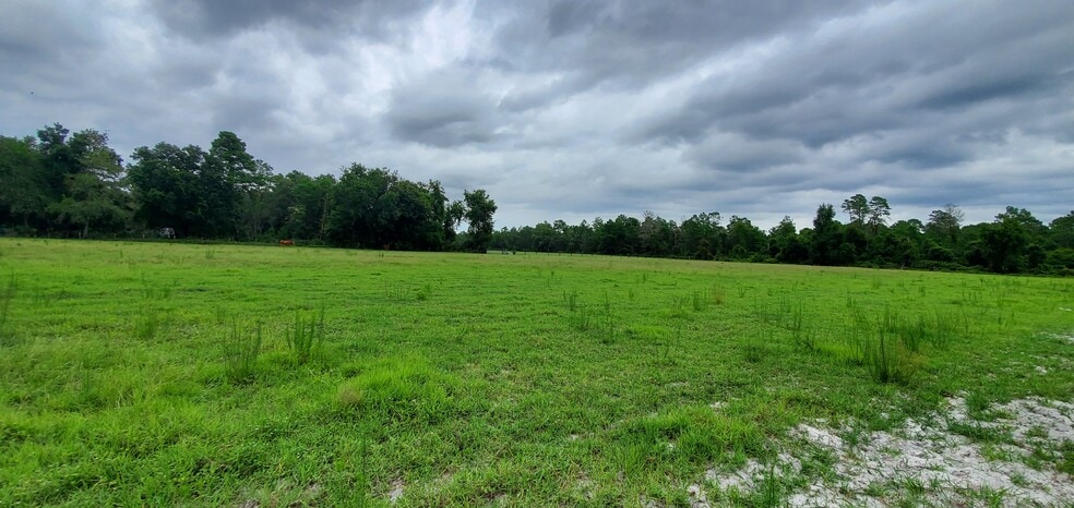16787 148th Terr Rd, Fort Mc Coy, FL for sale - Other - Image 2 of 6