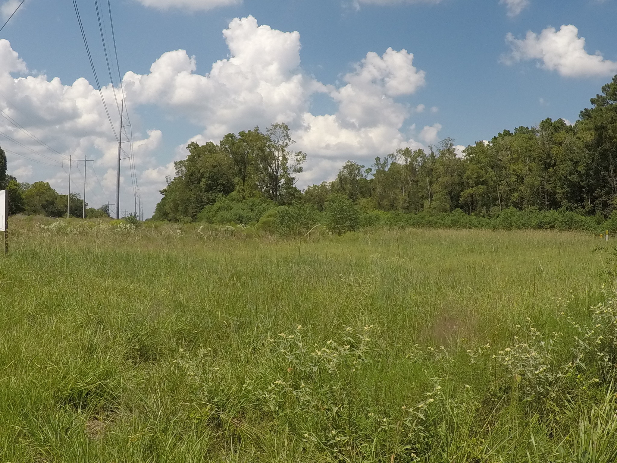 7886 Fm 1960 Rd, Dayton, TX à vendre Photo du b timent- Image 1 de 10