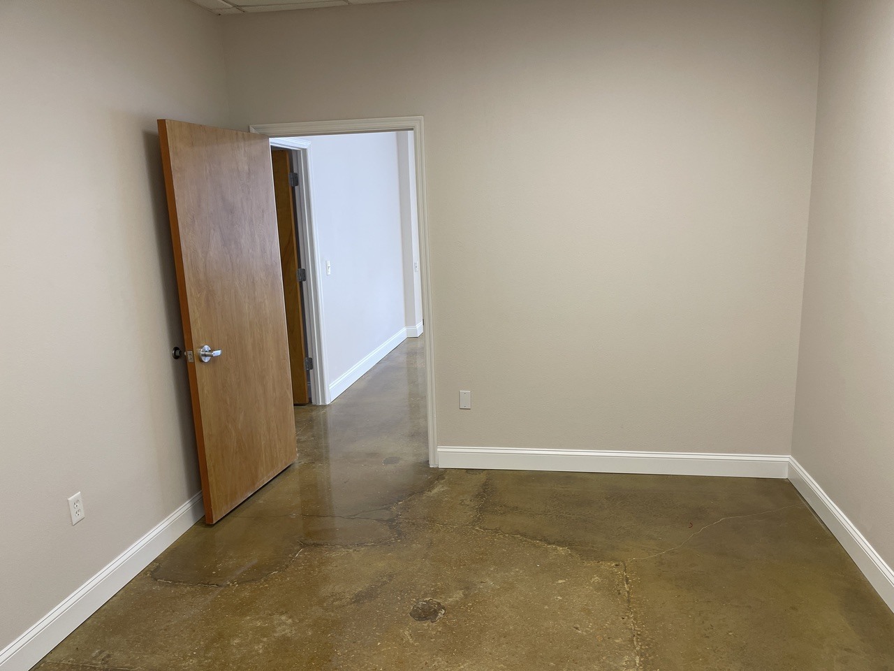 4951 E Adamo Dr, Tampa, FL for lease Interior Photo- Image 1 of 5