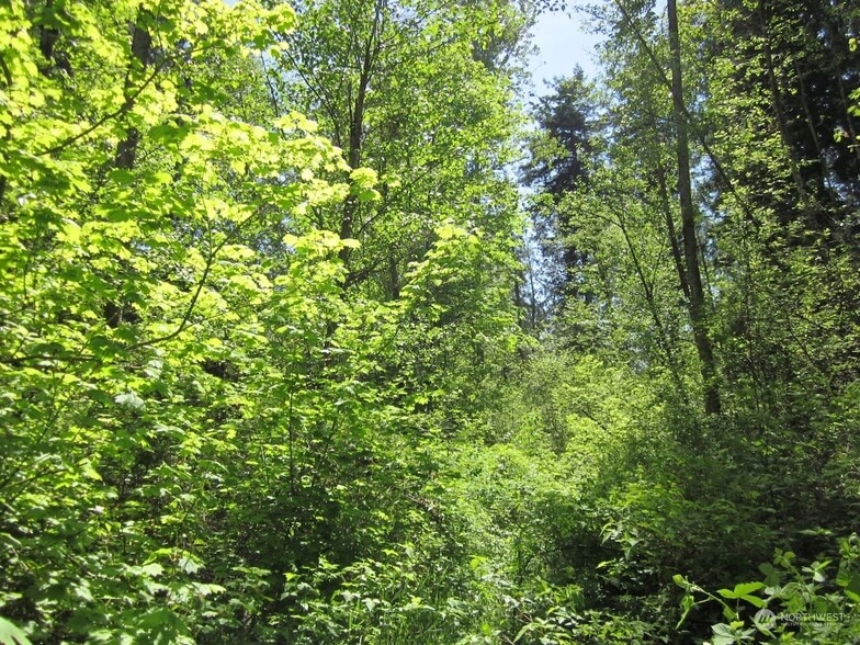 20633 SE 388th St, Auburn, WA for sale - Building Photo - Image 2 of 5