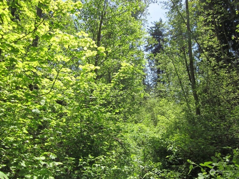 20633 SE 388th St, Auburn, WA à vendre - Photo du bâtiment - Image 2 de 5