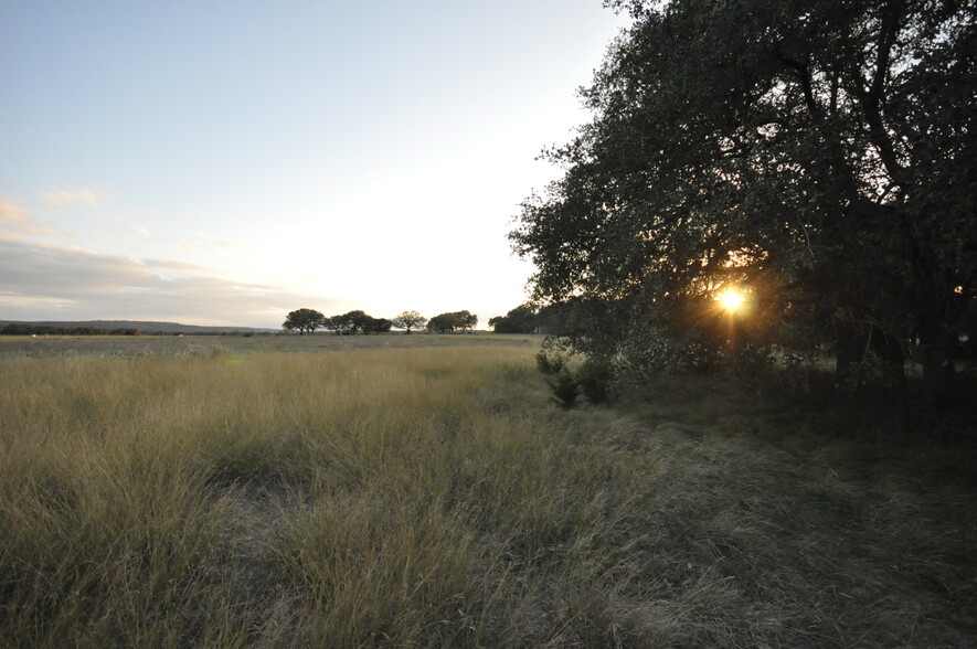 100 Farm To Market 165, Dripping Springs, TX à vendre - Photo principale - Image 1 de 8