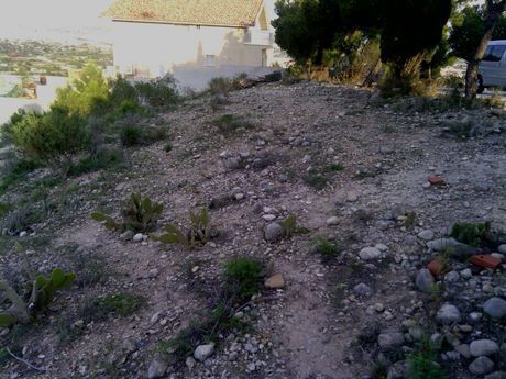 Terrain dans Alguazas, Murcia à vendre - Plan de site - Image 3 de 9