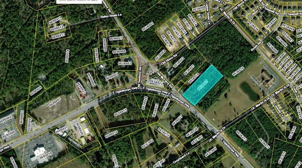 East Oglethorpe Highway, Flemington, GA à vendre - Photo du bâtiment - Image 2 de 4