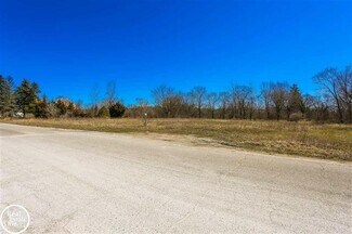 Plus de détails pour Meadowlawn Dr, Fort Gratiot Township, MI - Terrain à vendre