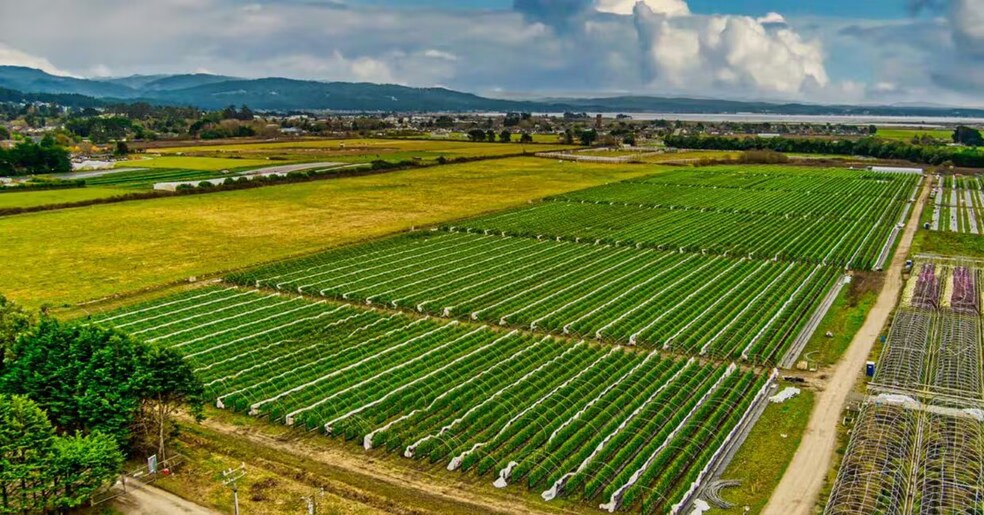 3160 Upper Bay Rd, Arcata, CA à louer - Photo du bâtiment - Image 2 de 5