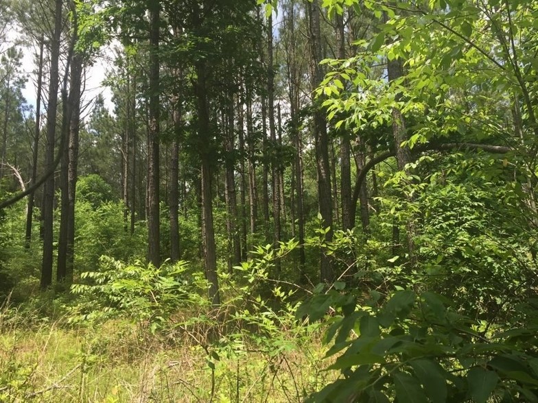 Gobbler Bridge Ln, Savannah, TN for sale - Primary Photo - Image 1 of 1