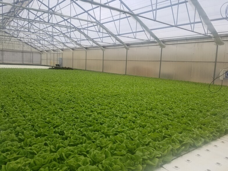 4525 Cloverdale Rd, Pescadero, CA à vendre - Photo du bâtiment - Image 3 de 11