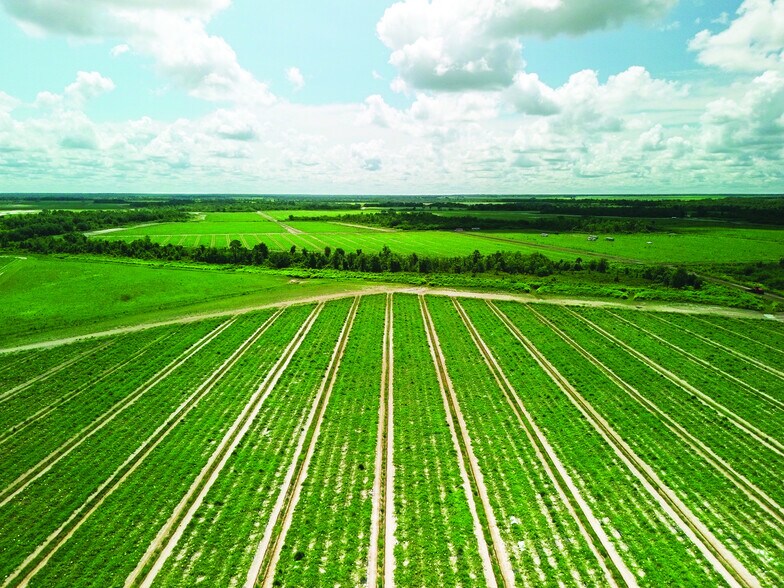 40105 Ballard Rd, Myakka City, FL à louer - Aérien - Image 3 de 10