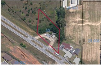 Plus de détails pour S Highway 231 & Mance Newton Rd, Midland City, AL - Terrain à vendre