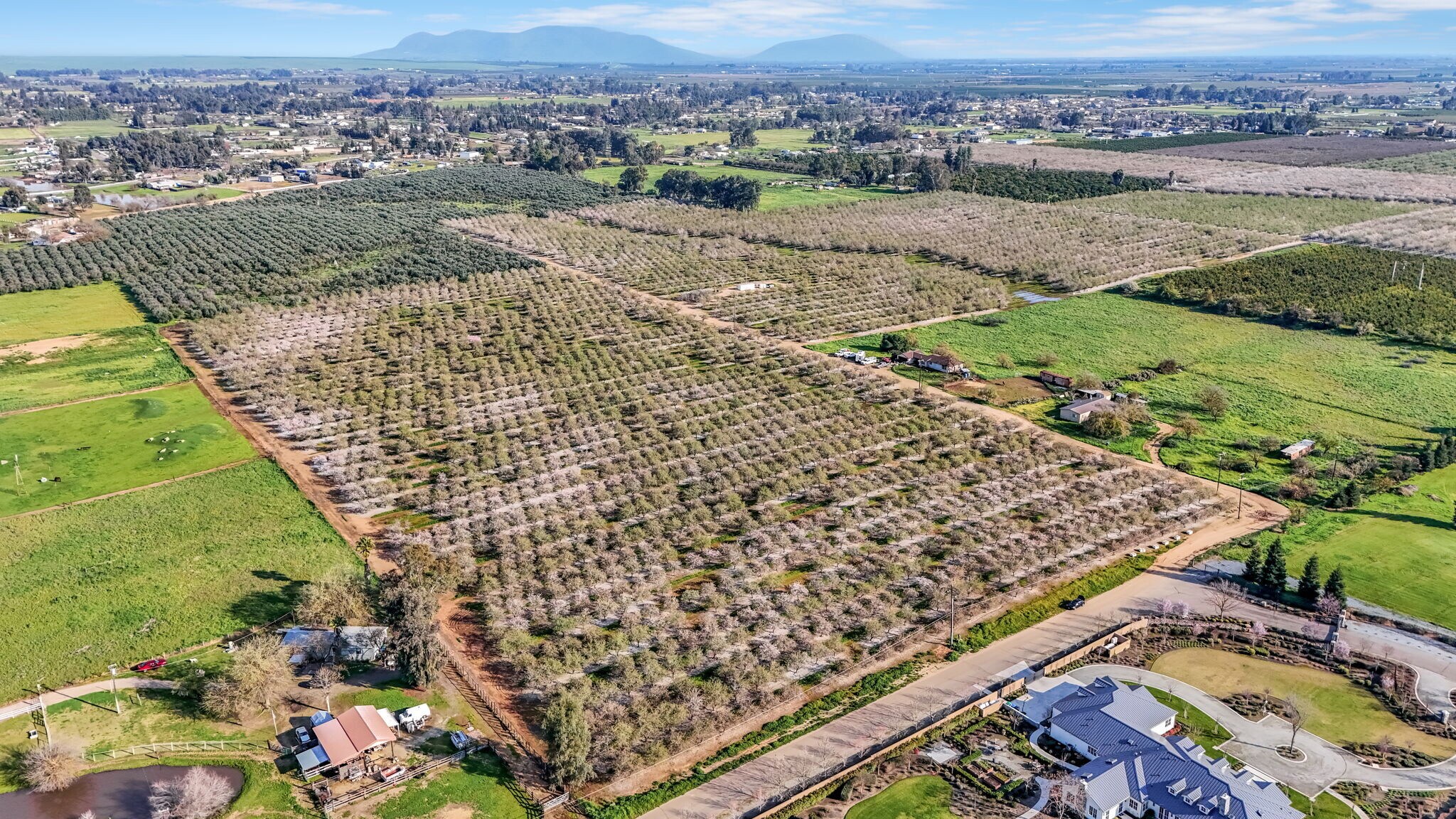12009 E. Shaw Avenue, Clovis, CA for sale Primary Photo- Image 1 of 17