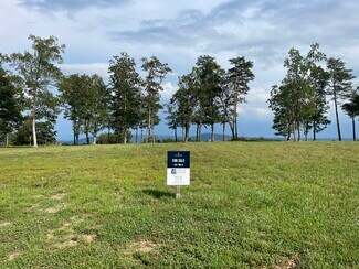 Plus de détails pour 0 Clubhouse Lane Ln, Rising Fawn, GA - Terrain à vendre