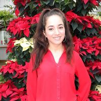 Kimberley Saccomonto