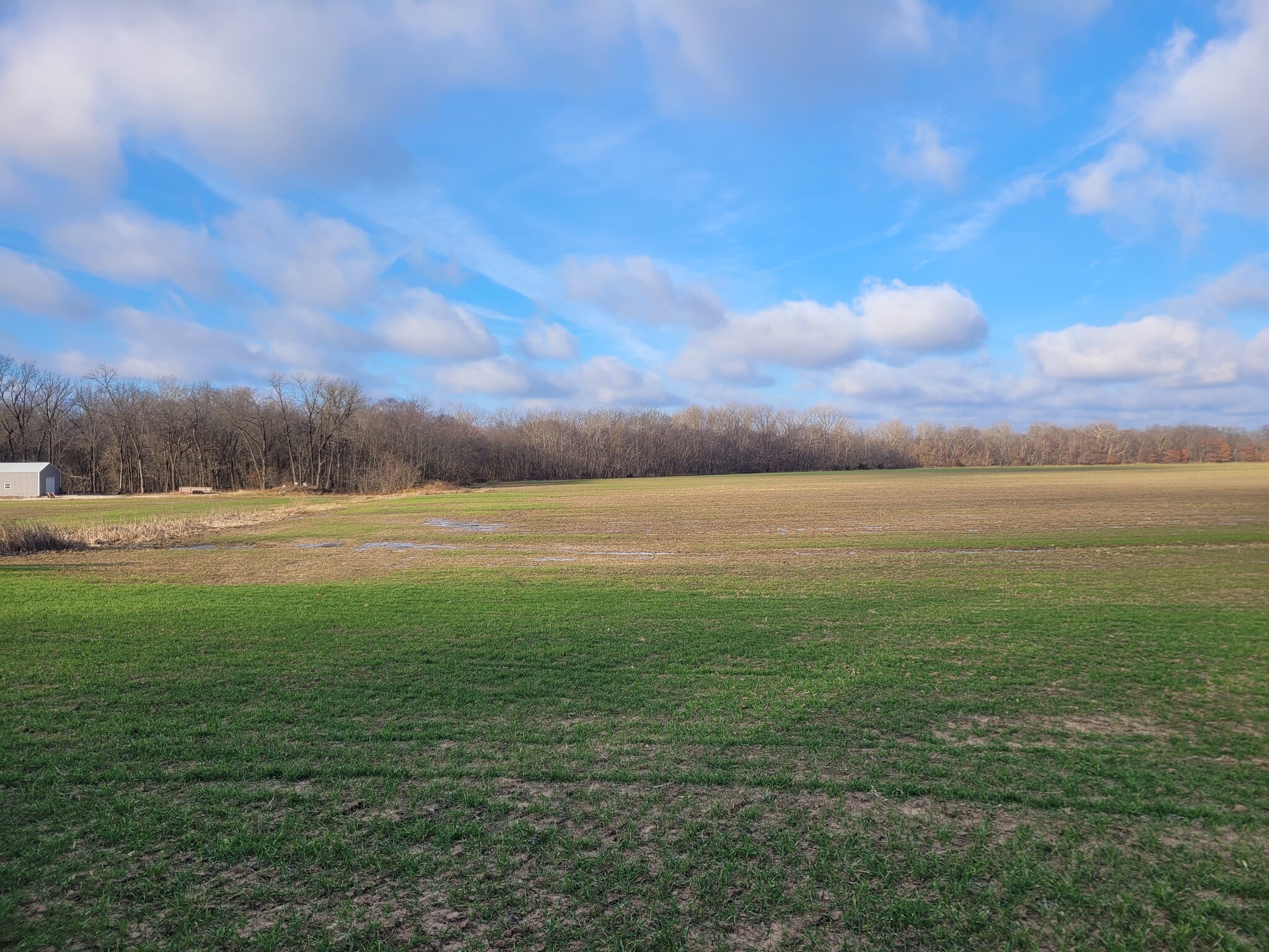 Bales Rd. (55.3+/- Acres), Middletown, MO à vendre Photo principale- Image 1 de 42
