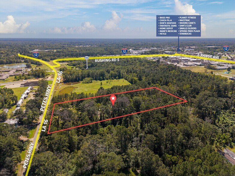 27351 La Highway 16, Denham Springs, LA à vendre - Photo du bâtiment - Image 1 de 7