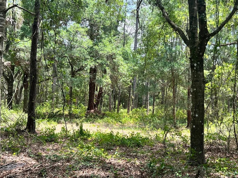 3575 South St, Titusville, FL for sale - Primary Photo - Image 1 of 3