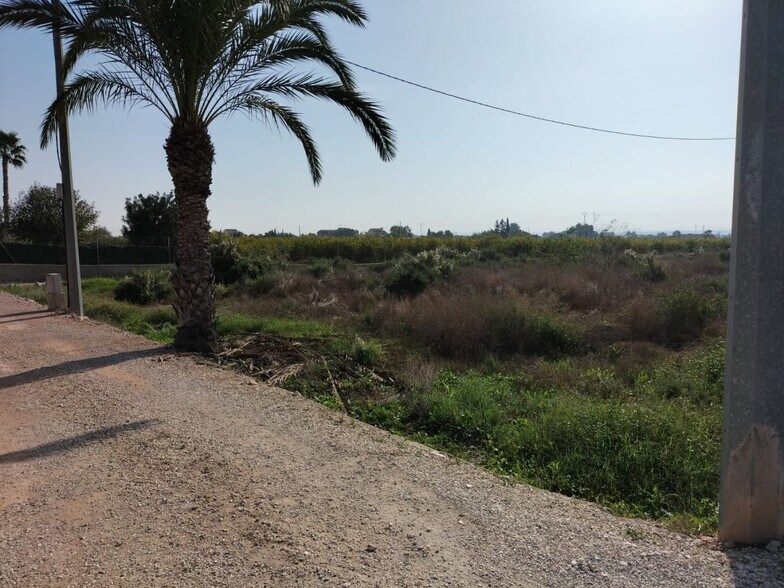 Land in Crevillent, Alicante for sale - Aerial - Image 2 of 8