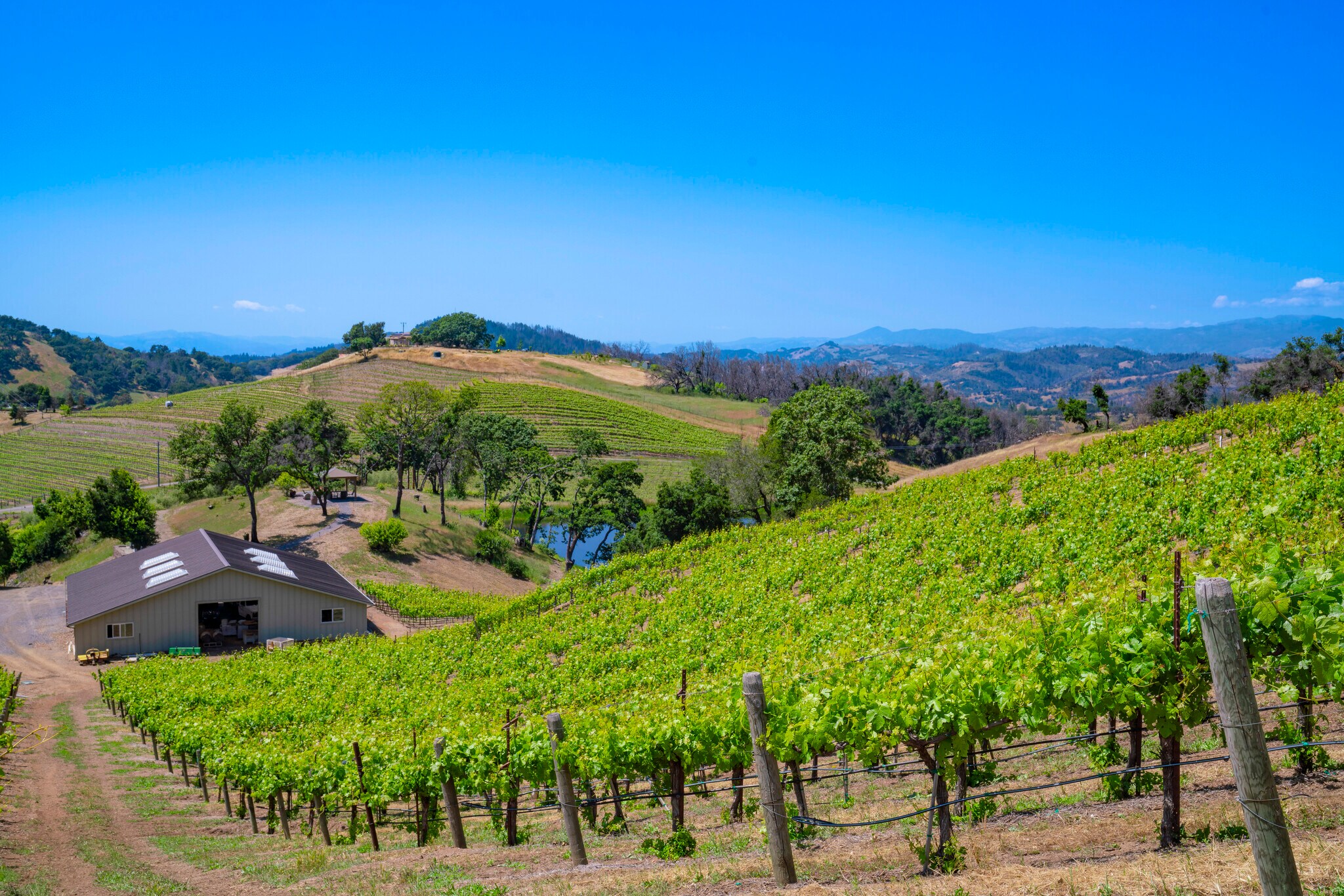 6923 Plum Ranch Rd, Santa Rosa, CA à vendre Photo du bâtiment- Image 1 de 1