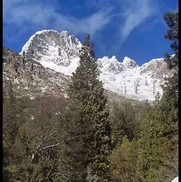 212 Main St, Sierra City, CA à vendre - Photo du bâtiment - Image 2 de 5