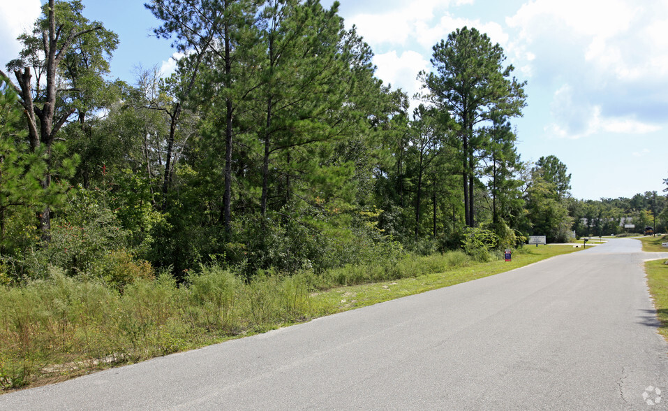 17 Feli Way, Crawfordville, FL for sale - Building Photo - Image 1 of 1