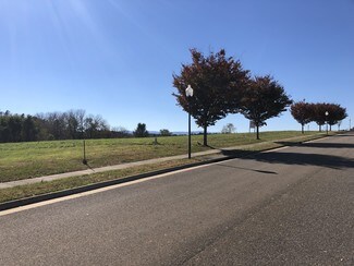 Plus de détails pour 261 Sheppard Ct, Waynesboro, VA - Terrain à vendre