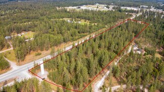 Plus de détails pour 4123 Laurel Road, Chattaroy, WA - Terrain à vendre