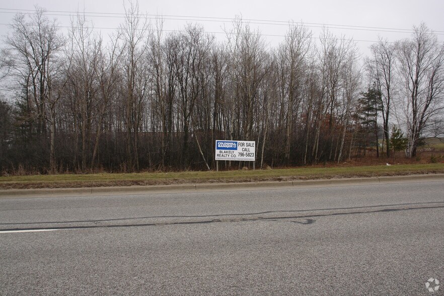 Perry Ave, Big Rapids, MI à vendre - Photo principale - Image 1 de 9