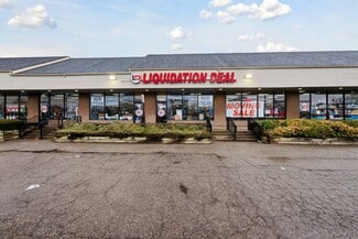More details for 1071-1119 Fort St, Lincoln Park, MI - Retail for Lease