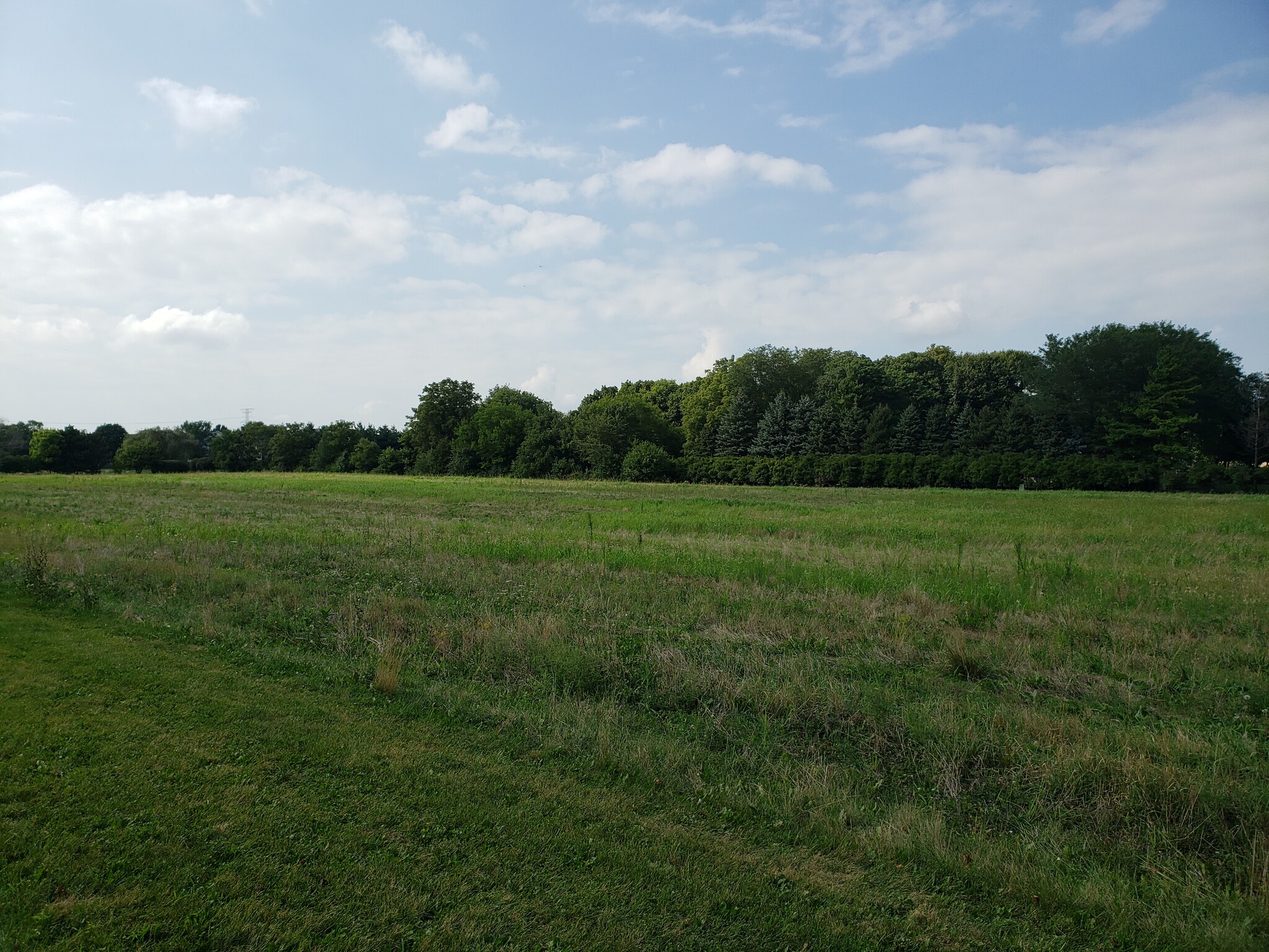 Dayfield Dr, Plainfield, IL for sale Primary Photo- Image 1 of 11