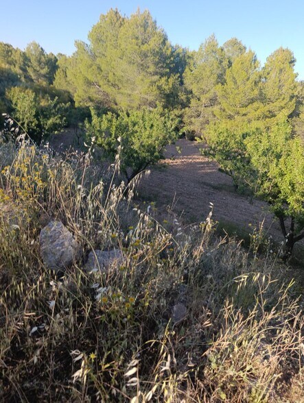 Land in Cehegín for sale - Building Photo - Image 3 of 10