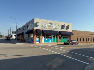 Plus de détails pour 317 Grand River Ave, Port Huron, MI - Bureau à louer