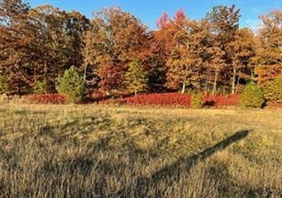 Claremont Ave, Tamaqua, PA à vendre Photo du bâtiment- Image 1 de 5
