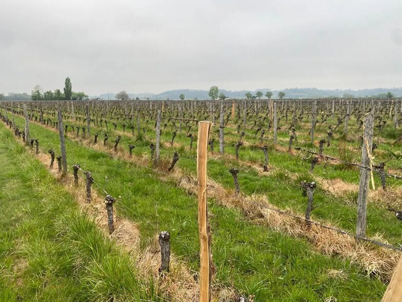 Terrain dans Saint-Émilion à vendre - Photo principale - Image 1 de 1