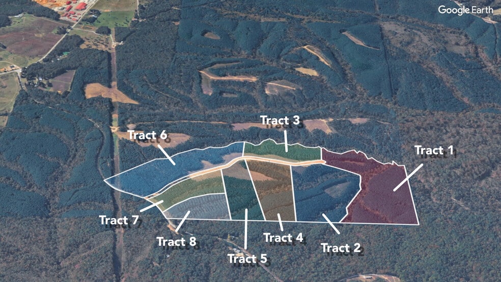 1420 Big Swan Creek Rd, Summertown, TN for sale - Building Photo - Image 3 of 17