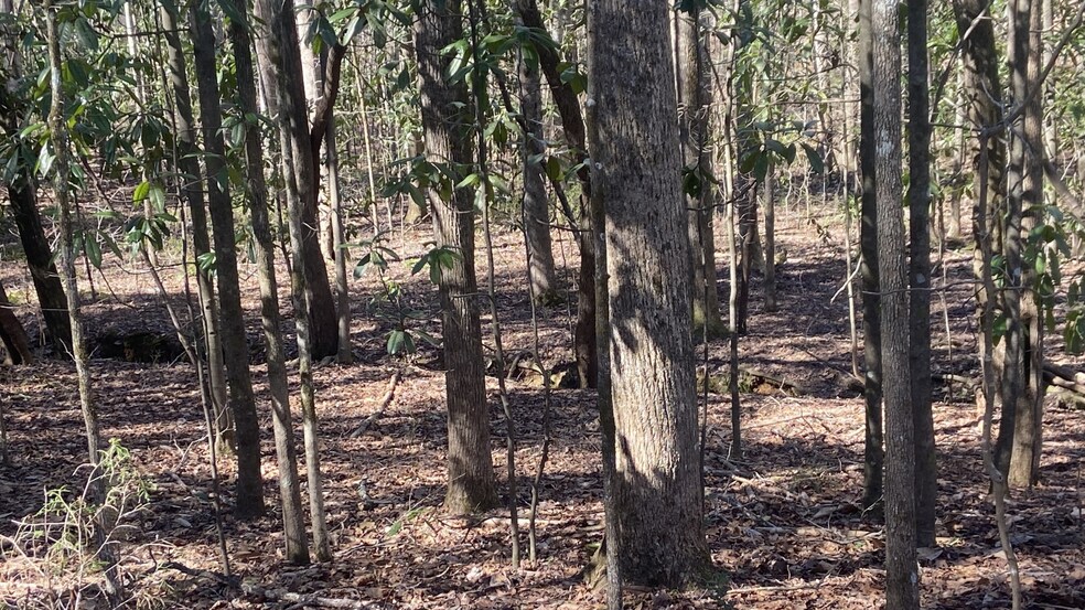 0 Roosevelt Hwy, Warm Springs, GA à vendre - Autre - Image 2 de 21