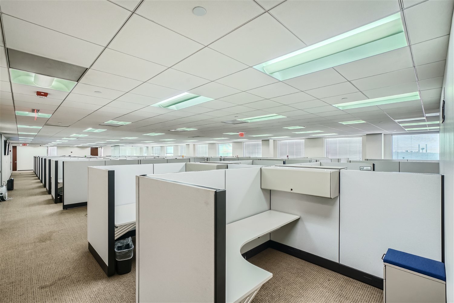 1310 Rankin Rd, Houston, TX for lease Interior Photo- Image 1 of 7