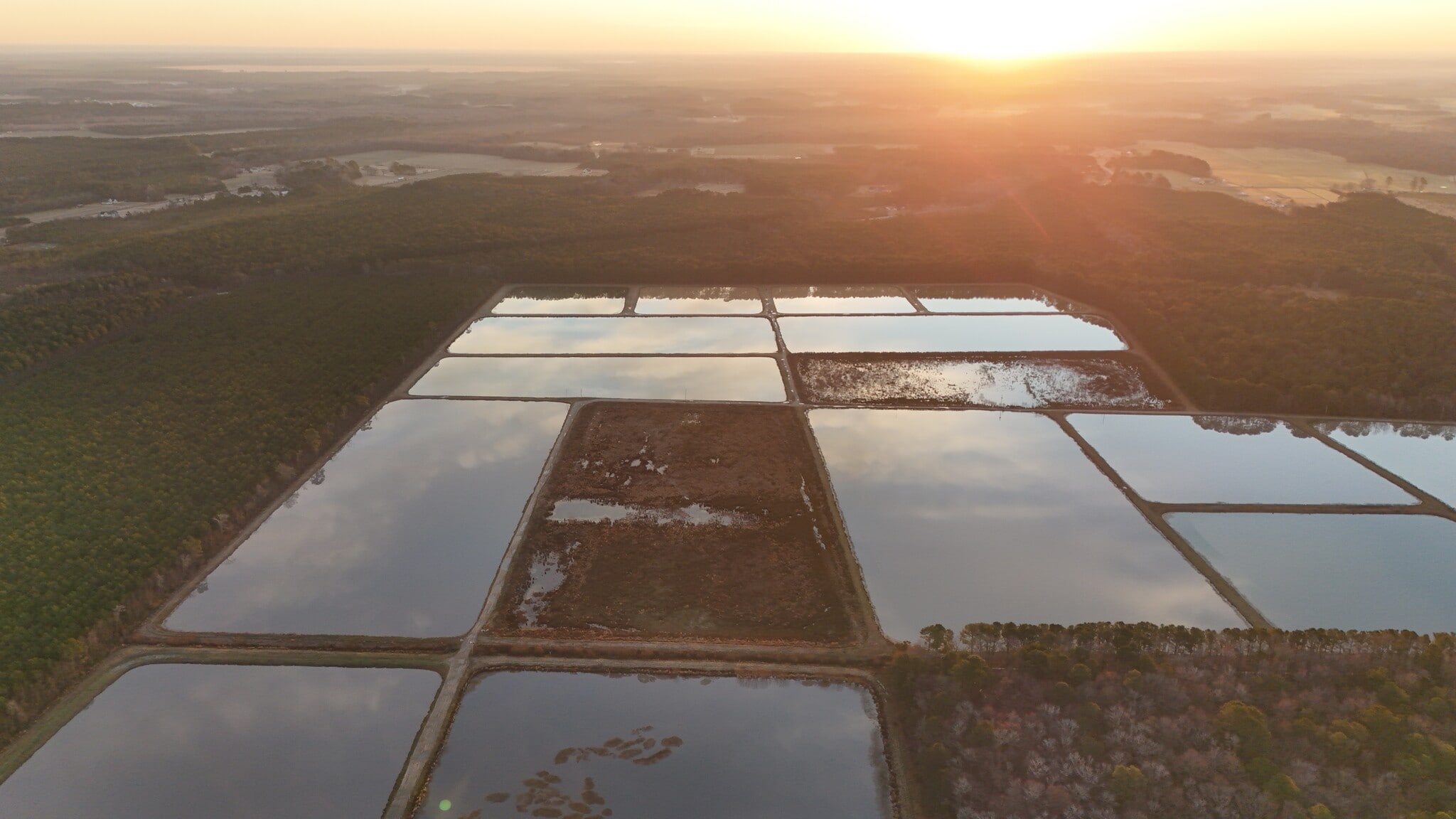 5619 Emma Cannon Rd, Ayden, NC for sale Primary Photo- Image 1 of 38