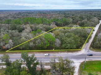More details for NE Corner CR 39 and Jerry Road, Crystal Springs, FL - Land for Sale