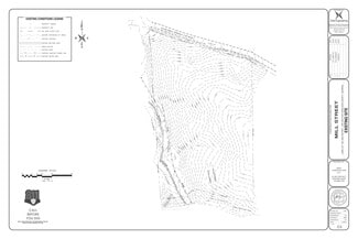 Plus de détails pour 0 W Mill St, Tallapoosa, GA - Terrain à vendre