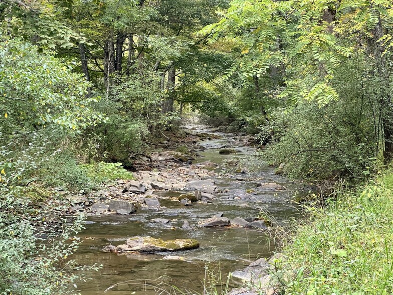 0 Turkey Creek Rd, Gap Mills, WV for sale - Primary Photo - Image 1 of 1