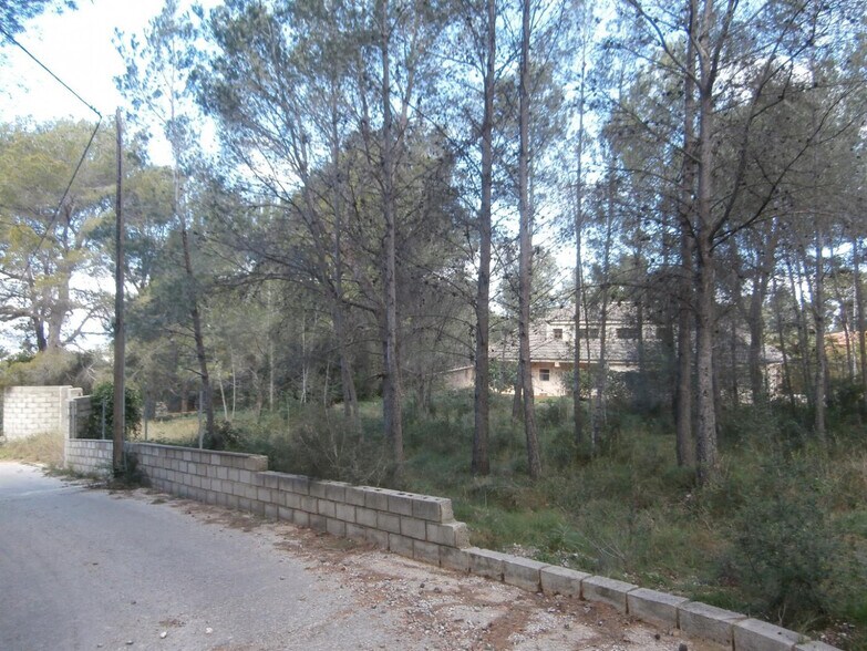Valletes de Bru, 118, Alzira, Valencia à vendre - Plan de site - Image 2 de 3