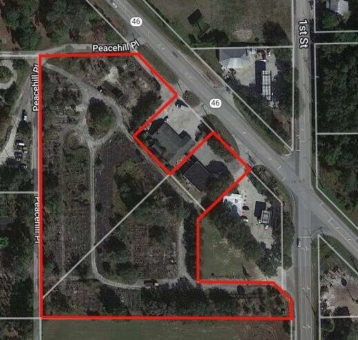 Plus de détails pour 145 W State Road 46, Geneva, FL - Terrain à vendre